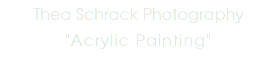 Thea Schrack Photography "Acrylic Painting"